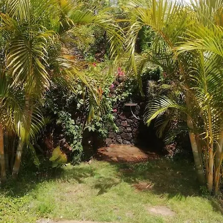 Sonrisa * Puntagorda (La Palma)